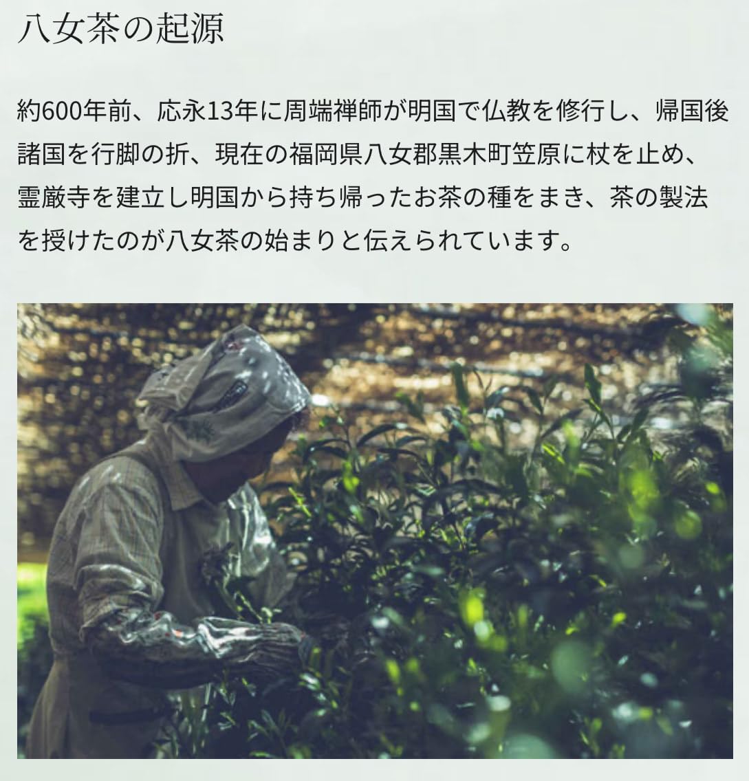 八女抹茶スタンダード