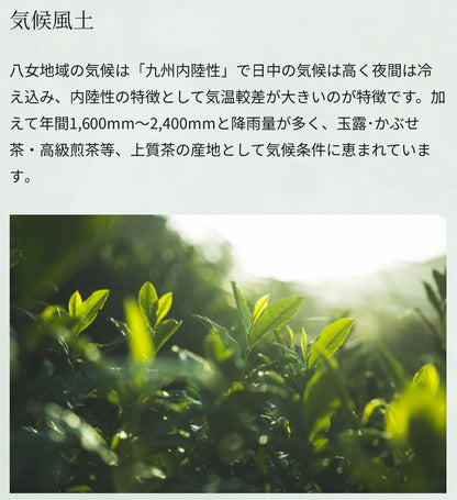 八女抹茶スペシャル
